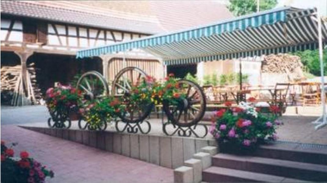 Ferme Auberge Du Moulin Des Sept Fontaines Drachenbronn-Birlenbach Esterno foto