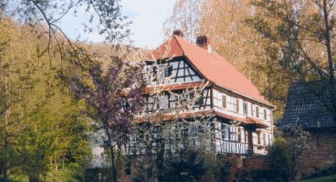 Ferme Auberge Du Moulin Des Sept Fontaines Drachenbronn-Birlenbach Esterno foto